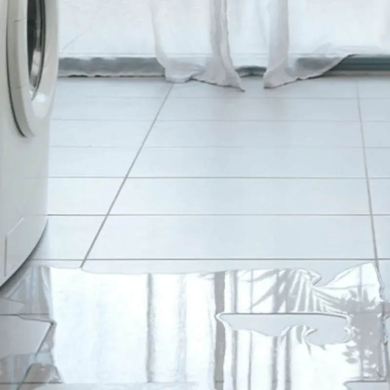 Appliance Leak Cleanup in Cooperstown, WI