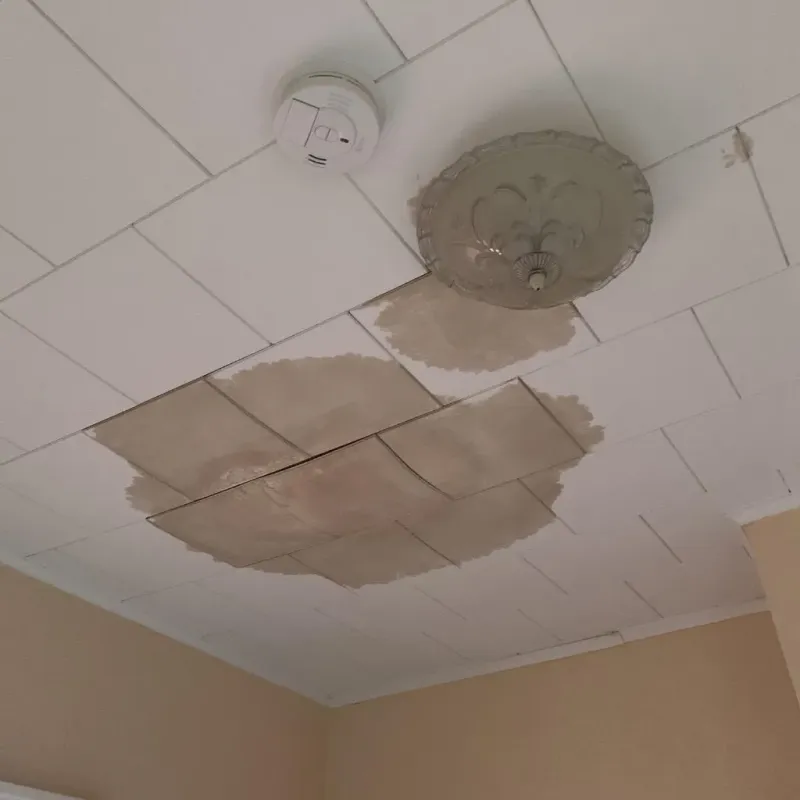 Ceiling Water Damage Repair in Cooperstown, WI