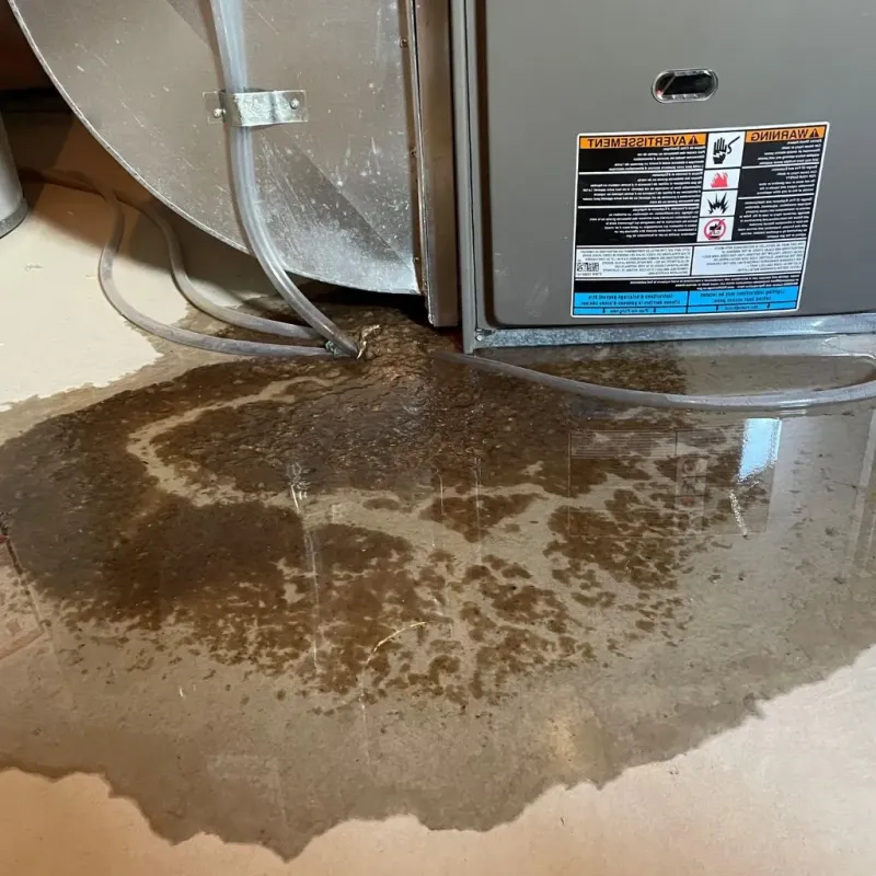 Pipe Burst and Leak Restoration in Cooperstown, WI